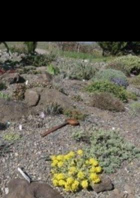 ଜୀବନ ଗୀତା-୩୫୯