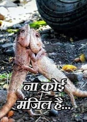 ना कोई मंजिल है.....