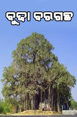 ବୁଢ଼ା ବରଗଛ