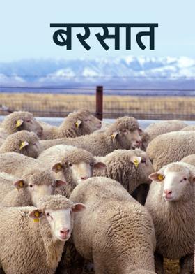 बरसात