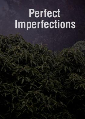 Perfect Imperfections