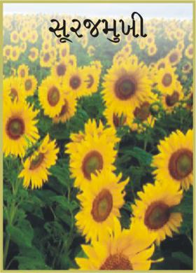 સૂરજમુખી