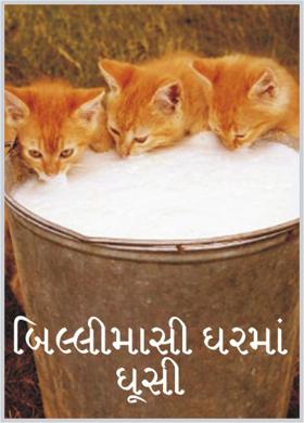 બિલ્લીમાસી ઘરમાં ઘૂસી