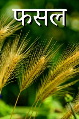 फसल