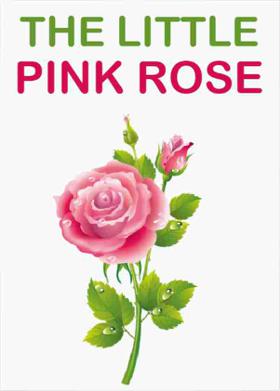 The Little Pink Rose