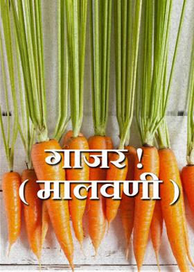 गाजर !  ( मालवणी )