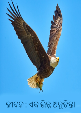 ଜୀବନ : ଏକ ଭିନ୍ନ ଅନୁଚିନ୍ତା