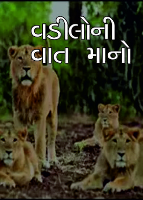 વડીલોની વાત માનો