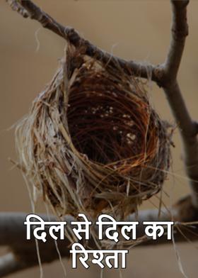 दिल से दिल का रिश्ता