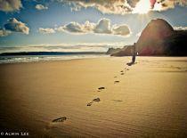 तुम ही हो  