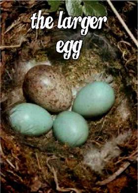 The Larger Egg