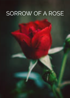 SORROW OF A ROSE