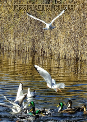 कितने ख़ास हो तुम