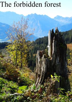 The Forbidden Forest
