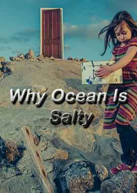 Why Ocean Is Salty!