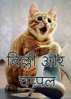 बिल्ली और चप्पल