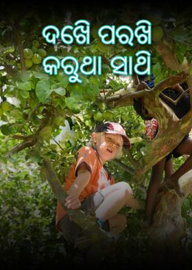 ଦେଖି ପରଖି କରୁଥା ସାଥି