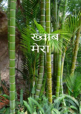 ख़्वाब मेरा