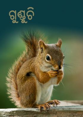 ଗୁଣ୍ଡୁଚି