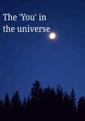 The 'You' In The Universe