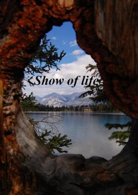 Show Of Life