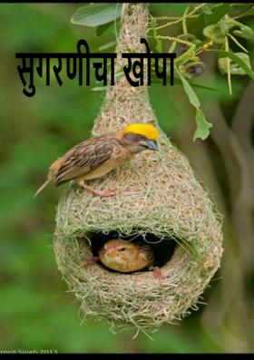 सुगरणीचा खोपा