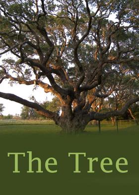 The Tree