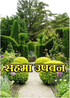 सहमा उपवन