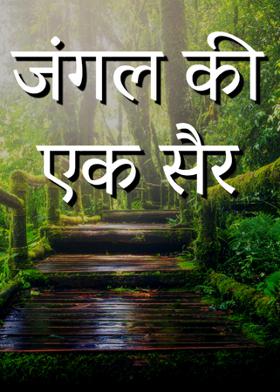 जंगल की एक सैर