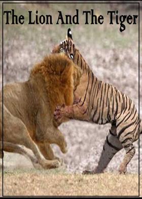 The Lion And The Tiger