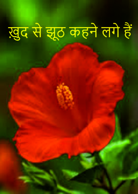 ख़ुद से झूठ कहने लगे हैं