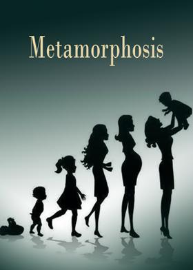 Metamorphosis