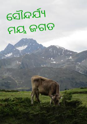 ସୌନ୍ଦର୍ଯ୍ୟ ମୟ ଜଗତ