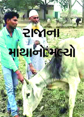 રાજાના માથાનો મલ્યો