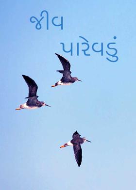 જીવ પારેવડું