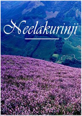 Neelakurinji