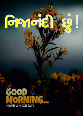 નિજાનંદી છું !