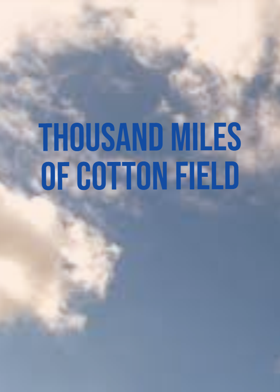 Thousand Miles Of Cotton Field