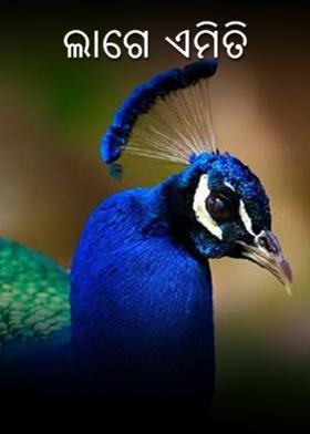 ଲାଗେ ଏମିତି