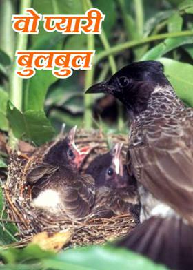 वो प्यारी बुलबुल