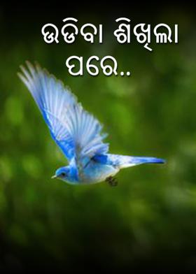 ଉଡିବା ଶିଖିଲା ପରେ..