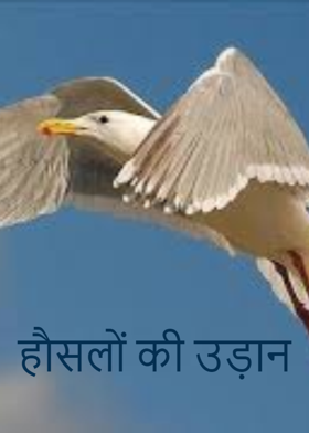 हौसलों की उड़ान