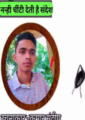 नन्ही चींटी