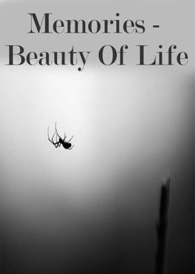 Memories - Beauty Of Life