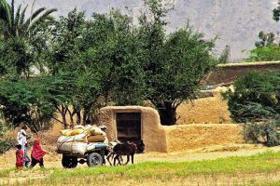 अर्पण कुमार की कहानी गौरीशंकर ‘परदेसी’ 

