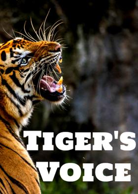 Tiger's Voice