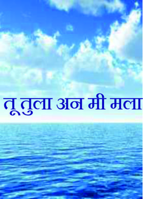 तू तुला अन मी मला