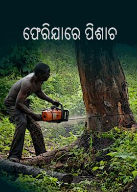 ଫେରିଯାରେ ପିଶାଚ