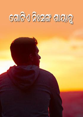 ଗୋଟିଏ ନିଃସଙ୍ଗ ଶାୟାହ୍ନ