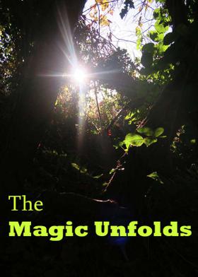 The Magic Unfolds